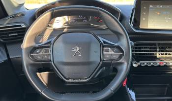 PEUGEOT 208 1.5 BlueHDi Active 100 CV lleno