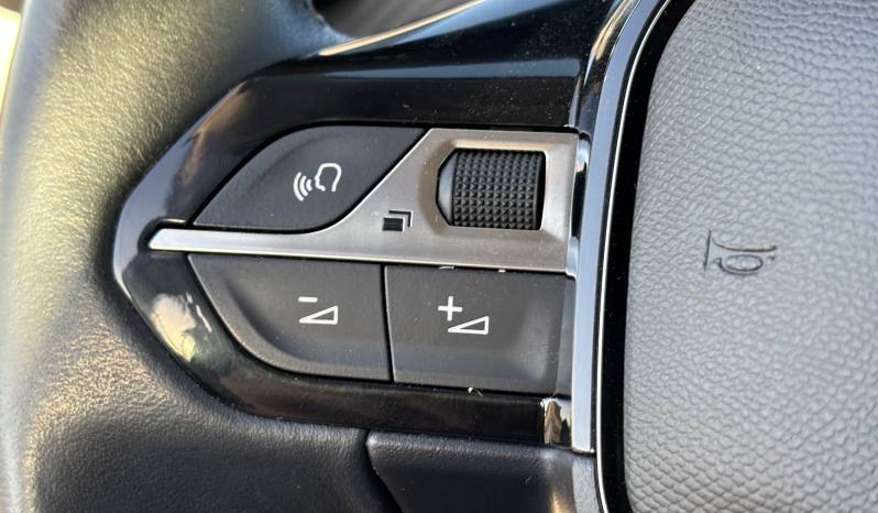 PEUGEOT 208 1.5 BlueHDi Active 100 CV lleno